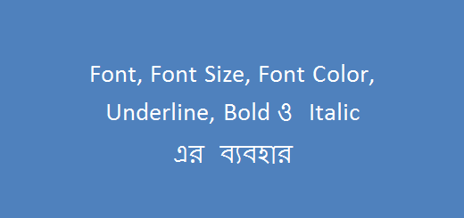 use of Font Font Size Font Color Underline Bold Italic