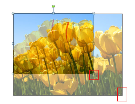 Change Image Size in Picture Insert