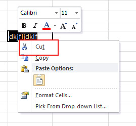 Cut Option in Microsoft Excel