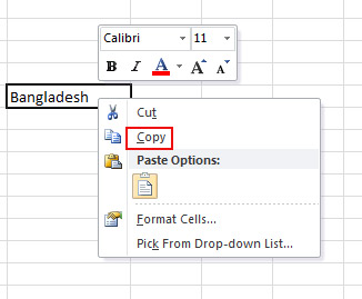 Use of Copy Option in Excel