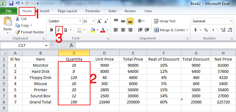 Use of Italic in Microsoft Excel