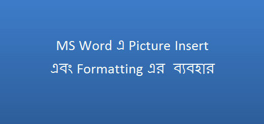 Use of Picture Insert & Formatting in MS Word 2010