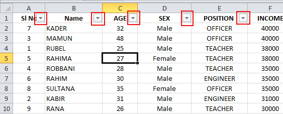 Use of Filter in Excel 1