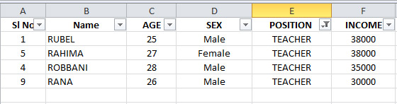 Use of Filter in Excel 3