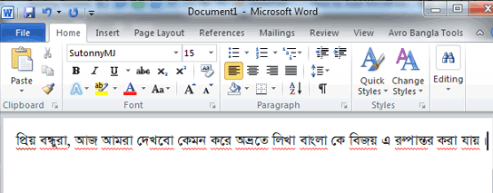 After setting up bijoy font in ms word