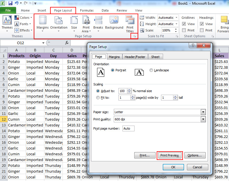Show the Print Preview in the Page Setup Dialog Box