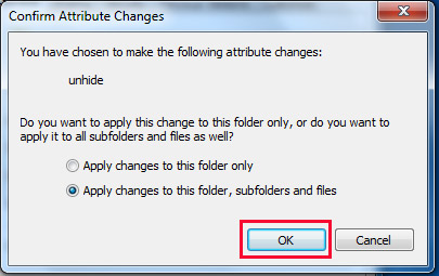 Click OK in Confirm Attribute Changes Dialogue Box