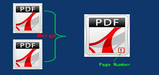 Introduction of PDF