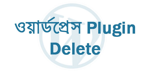 WordPress Plugin Delete