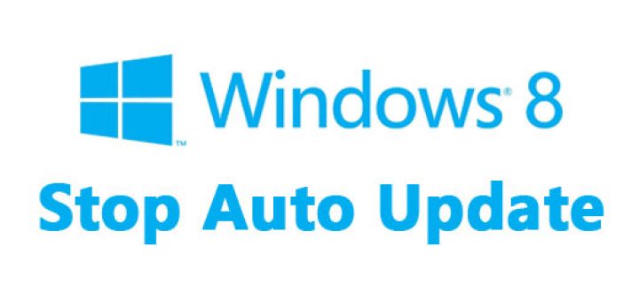stop Windows 8 auto update
