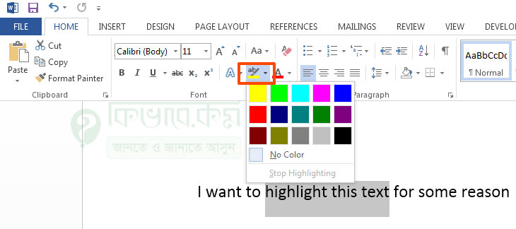 Text Highilight Color