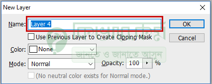 layer name