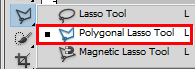 polygonal lasso tool