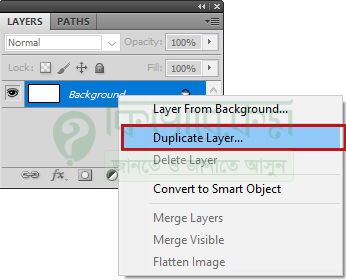 duplicate layer