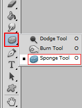 Select Sponge Tool