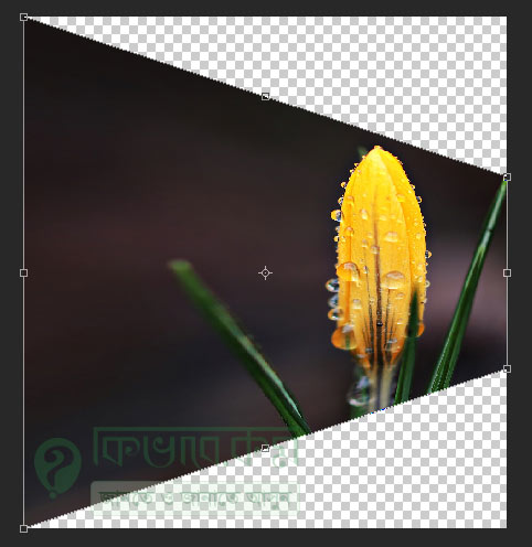 use of Perspective in Photoshop