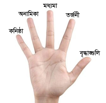Five Finger Name in Bangla