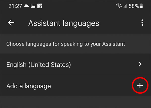Add a language in Assistant languages 