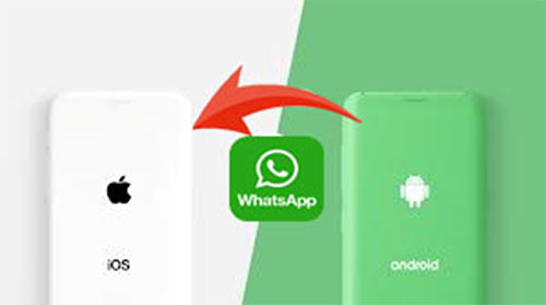 Android to iPhone WhatApp transfar