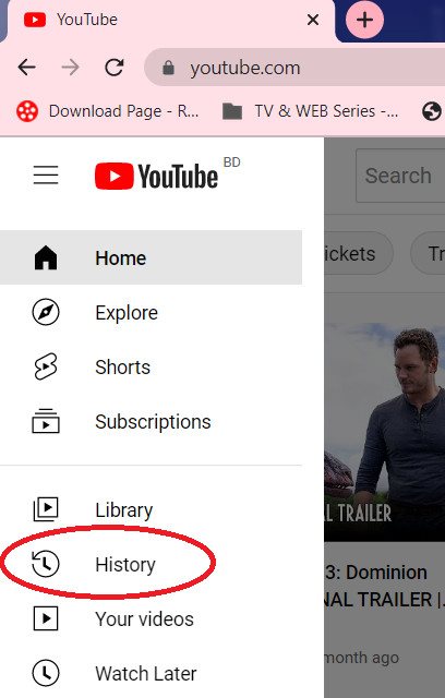 YouTube History in Web Browser