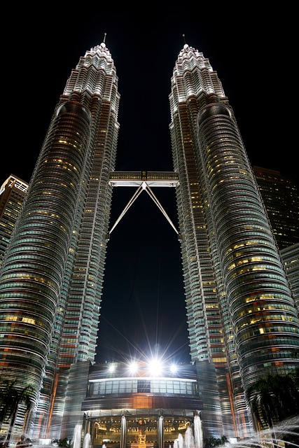 Petronas Tower's Night Scenery