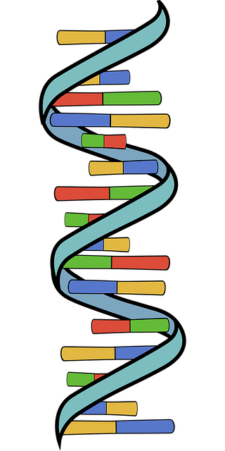 RNA Image