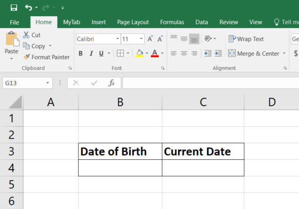 excel date of birth box